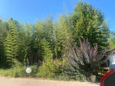 Paysage naturel près de l'appartement