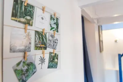 Plan de l'établissement Baiona - Maison - Extérieur