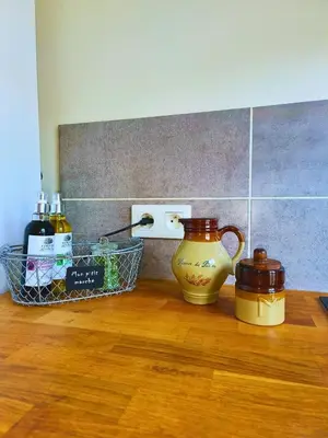 Cuisine ou kitchenette dans l'établissement Maison vue sur le Rhône à proximité du port