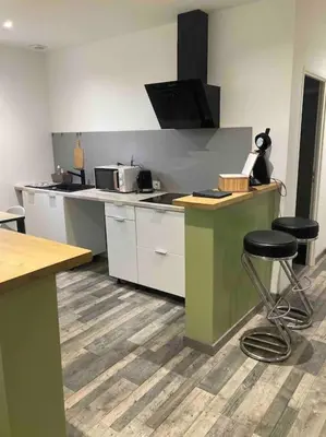 Cuisine ou kitchenette dans l'établissement Appart Flokeli à Perouges