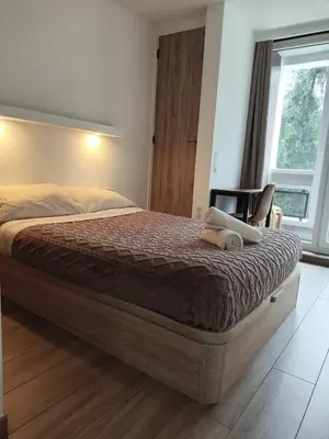 Un ou plusieurs lits dans un hébergement de l'établissement 3 Chambres 3 Salles de bain Vue panoramique Lyon
