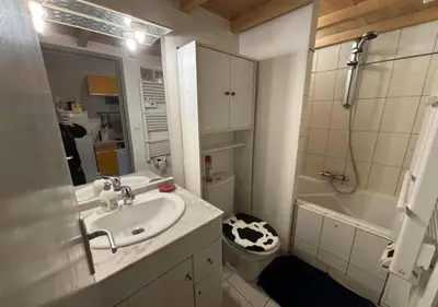 Salle de bains dans l'établissement Appartement au centre de Tarare
