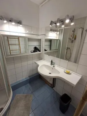Salle de bains dans l'établissement Appartement T4 Lyon 9