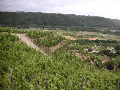 Paysage naturel près de la maison de vacances
