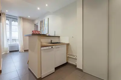 Cuisine ou kitchenette dans l'établissement Colombe - Furnished apartment - Downtown Lyon