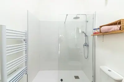 Salle de bains dans l'établissement Chaleureux appartement T2 au calme et climatisé proximite centre lyon