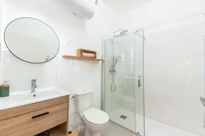 Salle de bains dans l'établissement Chaleureux appartement T2 au calme et climatisé proximite centre lyon