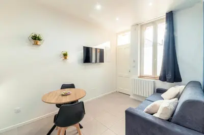 Télévision ou salle de divertissement dans l'établissement Appartement T2 moderne cosy et climatisé à proximité du centre ville de lyon
