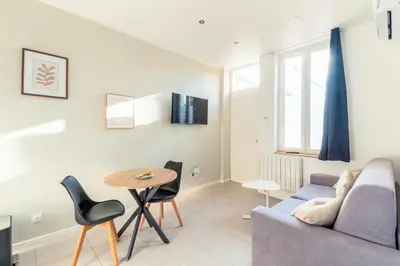 Télévision ou salle de divertissement dans l'établissement Appartement T2 moderne cosy et climatisé à proximité du centre ville de lyon