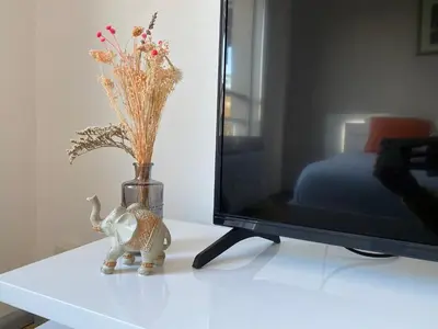 Télévision ou salle de divertissement dans l'établissement Hollywood studio en Résidence boisée Ecully