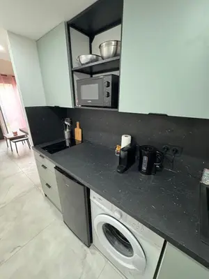 Cuisine ou kitchenette dans l'établissement La lyonnaise dans la jungle urbaine