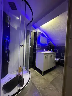 Salle de bains dans l'établissement Villeurbanne FLACHET