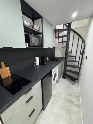 Cuisine ou kitchenette dans l'établissement Petit Boudoir Lyonnais neuf terrasse climatisé