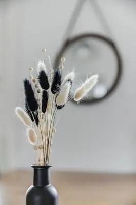 Plan de l'établissement Le Cosy