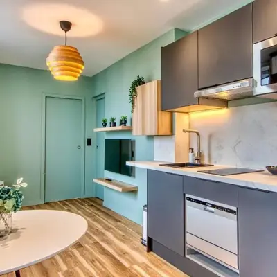 Le Cèdre Bleu - Bel appart climatisé quartier point du jour Lyon 5
