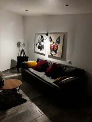 Coin salon dans l'établissement Studio confortable