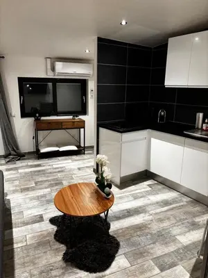 Cuisine ou kitchenette dans l'établissement Studio confortable