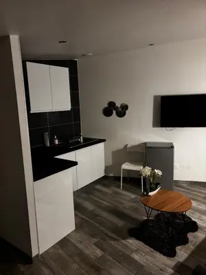 Cuisine ou kitchenette dans l'établissement Studio confortable