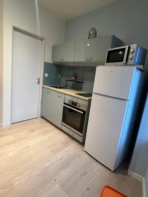Cuisine ou kitchenette dans l'établissement Appartement privé bleu