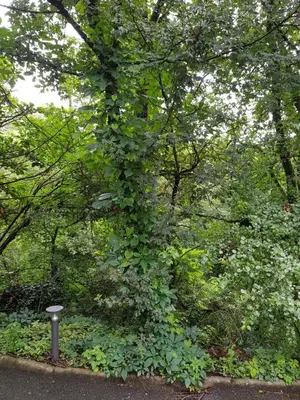 Jardin de l'établissement A L'Orée du Bois