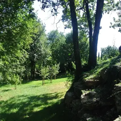 A L'Orée du Bois
