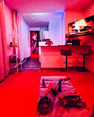 Un ou plusieurs lits dans un hébergement de l'établissement Maison de Monplaisir Love Room - Lyon