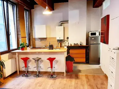 Cuisine ou kitchenette dans l'établissement Lyon Centre Warm apartment full of charm