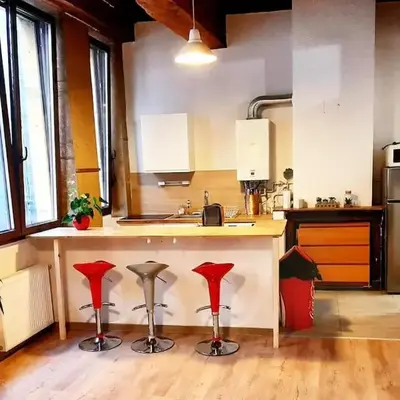Lyon Centre Warm apartment full of charm