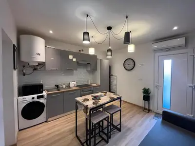 Cuisine ou kitchenette dans l'établissement T2 Modern and Cosy in St Étienne