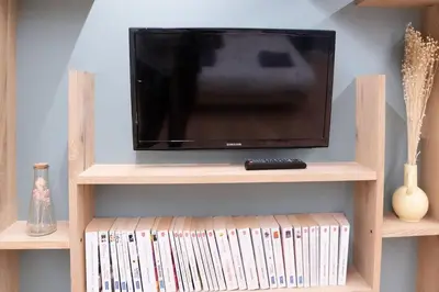 Télévision ou salle de divertissement dans l'établissement La Cabane Bellecour