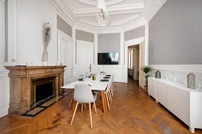 Télévision ou salle de divertissement dans l'établissement Le Rhône Haussmannien, Luxueux spacieux et raffiné au cœur de Lyon 6e vue Rhône
