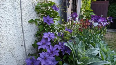 Jardin de l'établissement La dépendance de la Ferme Blanche
