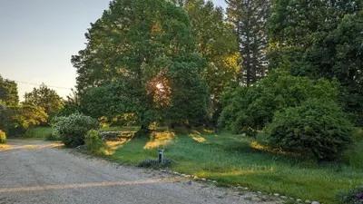 Jardin de l'établissement La dépendance de la Ferme Blanche