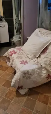 Un ou plusieurs lits dans un hébergement de l'établissement Auberge de l'Europe