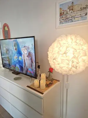 Télévision ou salle de divertissement dans l'établissement Appartement bord de Saône avec parking