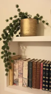 Bibliothèque dans l'appartement