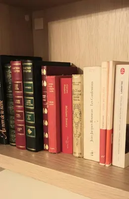 Bibliothèque dans l'appartement