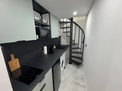 Cuisine ou kitchenette dans l'établissement Chic duplex Lyon avec terrasse