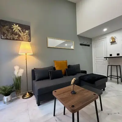 Chic duplex Lyon avec terrasse