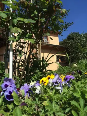 Jardin de l'établissement Ecully logement privé attenant de la maison principale