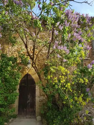 Jardin de l'établissement Gite dans maison médiévale Calme Fibre 2 ch