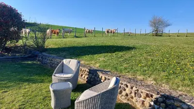 Jardin de l'établissement Les coqs de Mirebois ,Maison de campagne de 200 M2 pour 10 Personnes