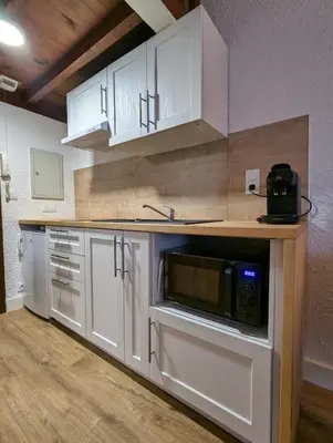 Cuisine ou kitchenette dans l'établissement Studio Duplex le Jungle - Bourgoin Centre