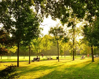 Jardin de l'établissement Studio neuf, Métro, Résidence protégée