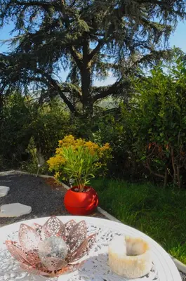Jardin de l'établissement Love room le belka