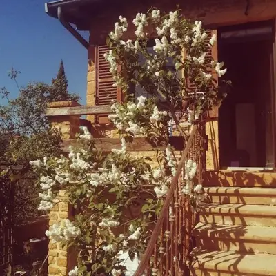 Une evasion dans les Pierres Dorées