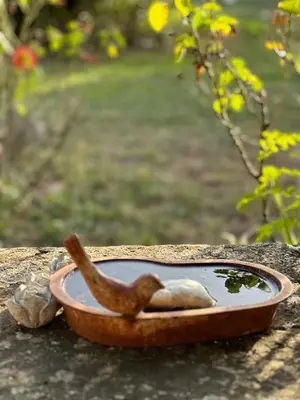 Jardin de l'établissement La Petite Toscane en Beaujolais