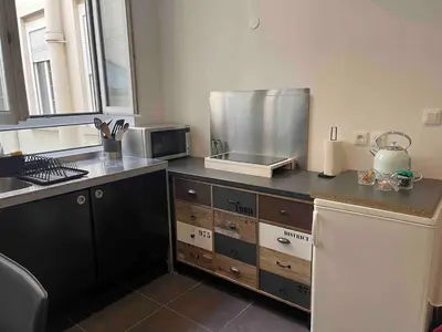 Cuisine ou kitchenette dans l'établissement Le Masséna d'Or, Calme, Métro, et Parc Tête D'or