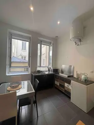 Cuisine ou kitchenette dans l'établissement Le Masséna d'Or, Calme, Métro, et Parc Tête D'or