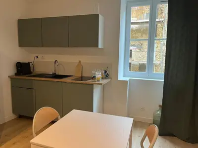 Cuisine ou kitchenette dans l'établissement Studio climatisé
